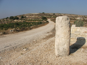 דרך גב ההר בגוש עציון דרך גב ההר בגוש עציון