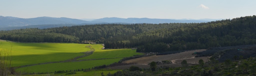 DSC_08532_20210830124446.882.jpg