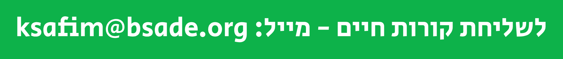 מייל_20241107155808.828.png